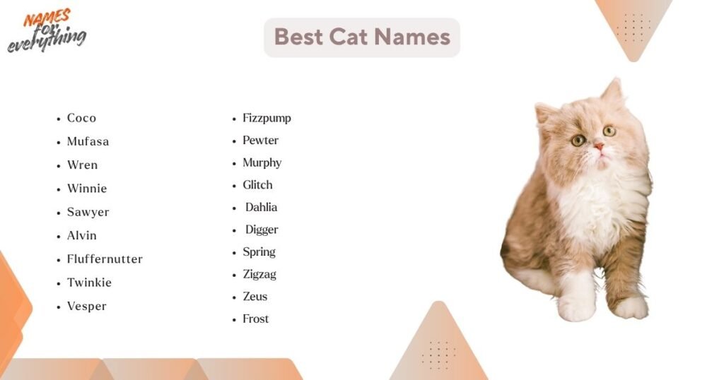 Best names for cat