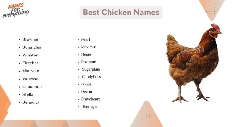 Best names for chicken 