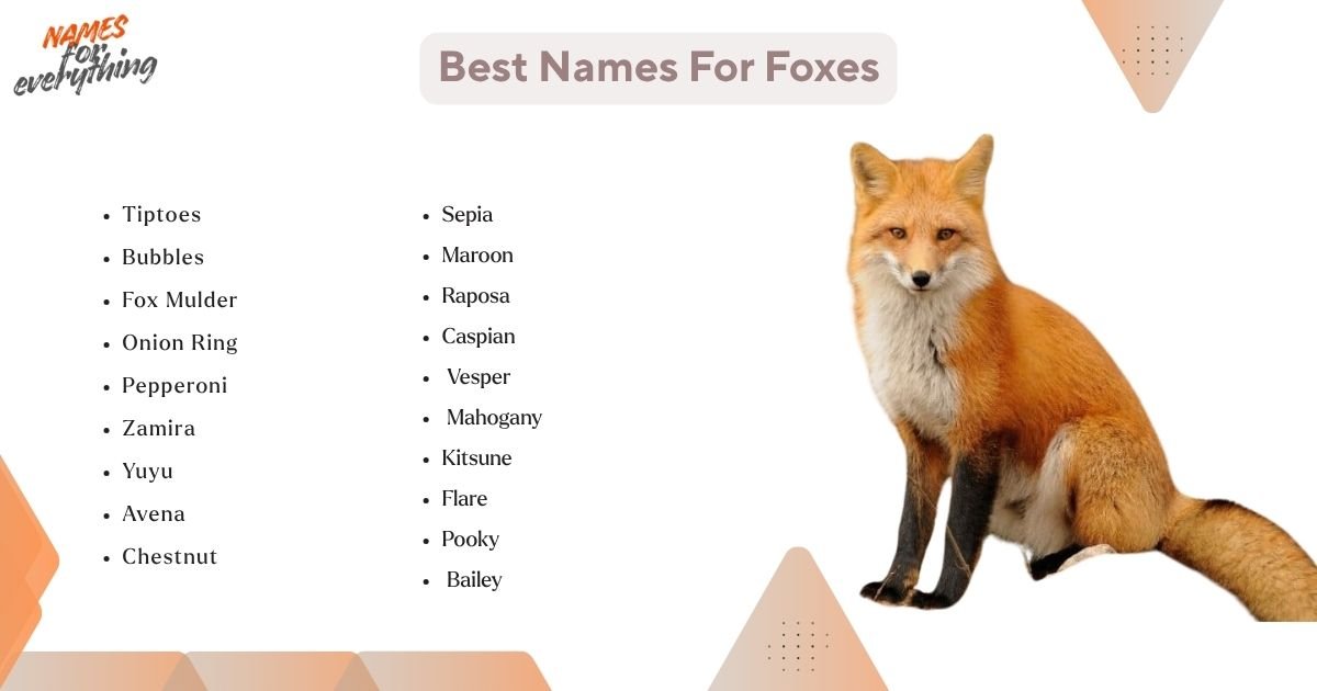 500+ Fox Names That Are Cute, Clever And Unique
