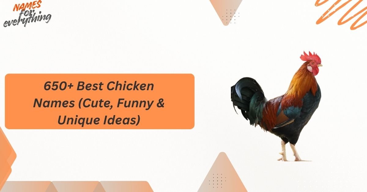 Chicken Names