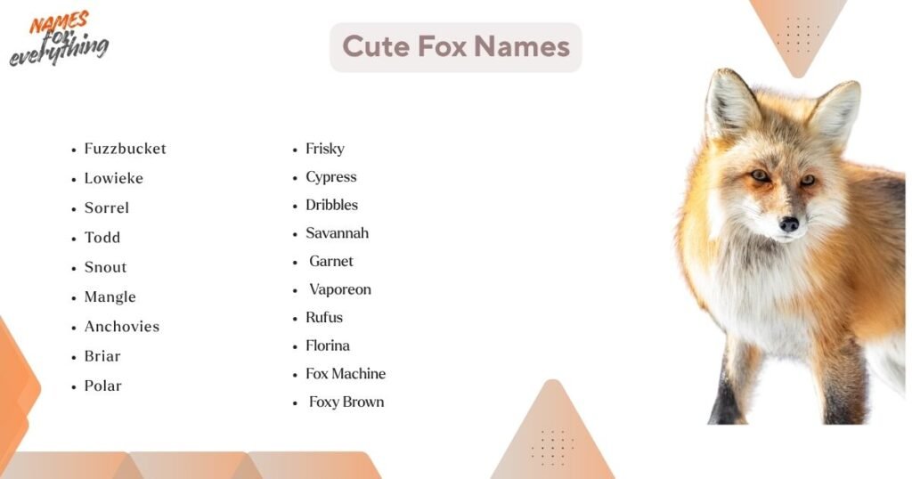 Cute fox names
