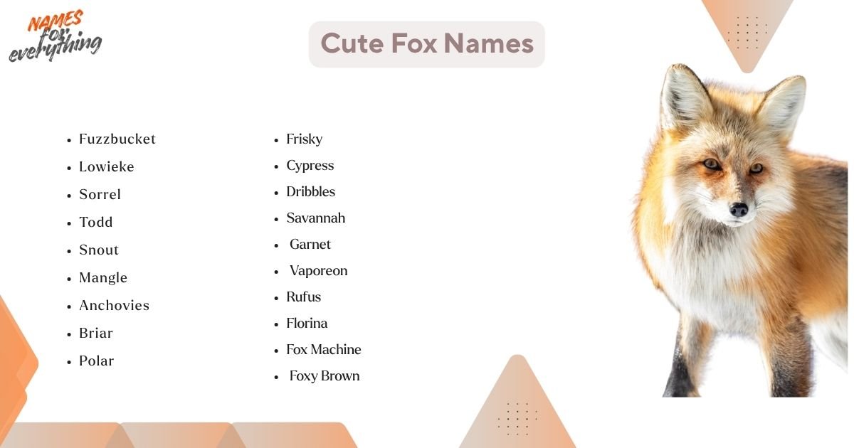 500+ Fox Names That Are Cute, Clever And Unique