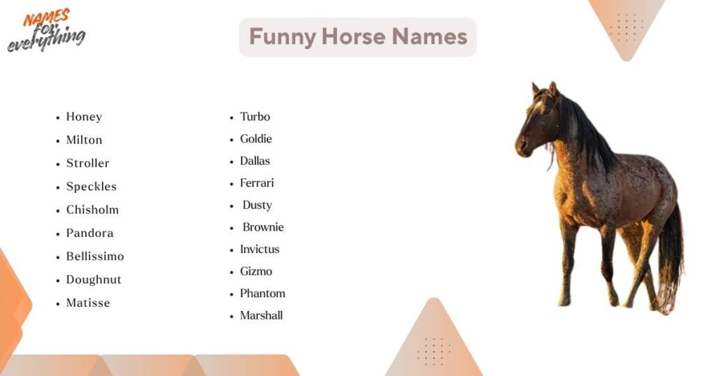 Funny names for horse