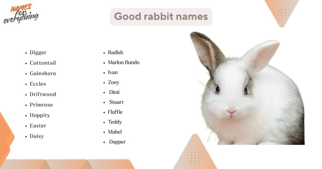 Good rabbit names