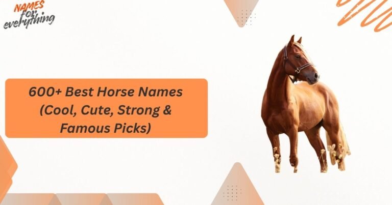 Horse Names