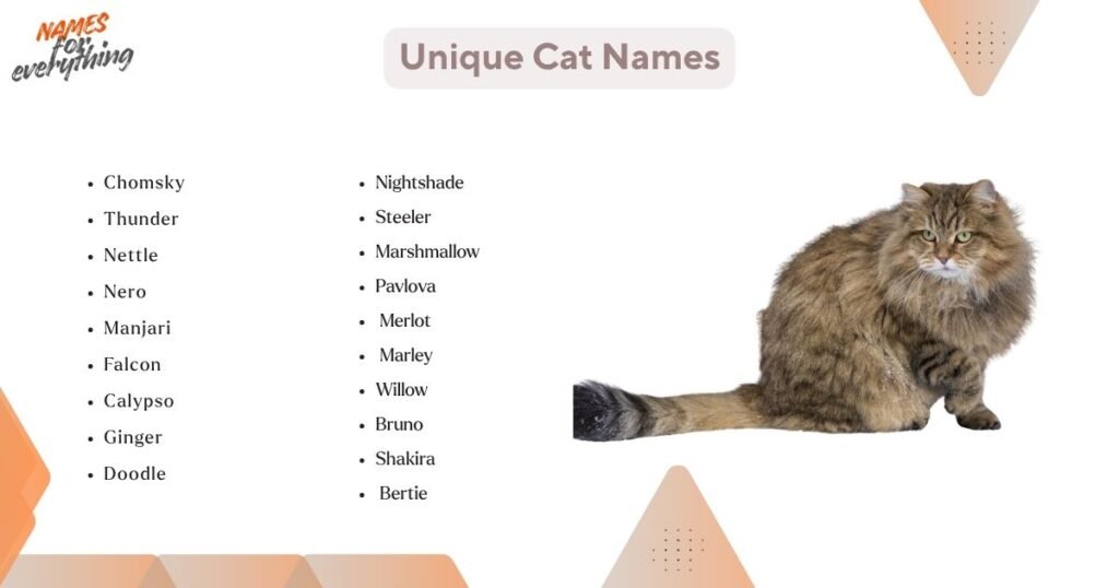 Unique names for cat