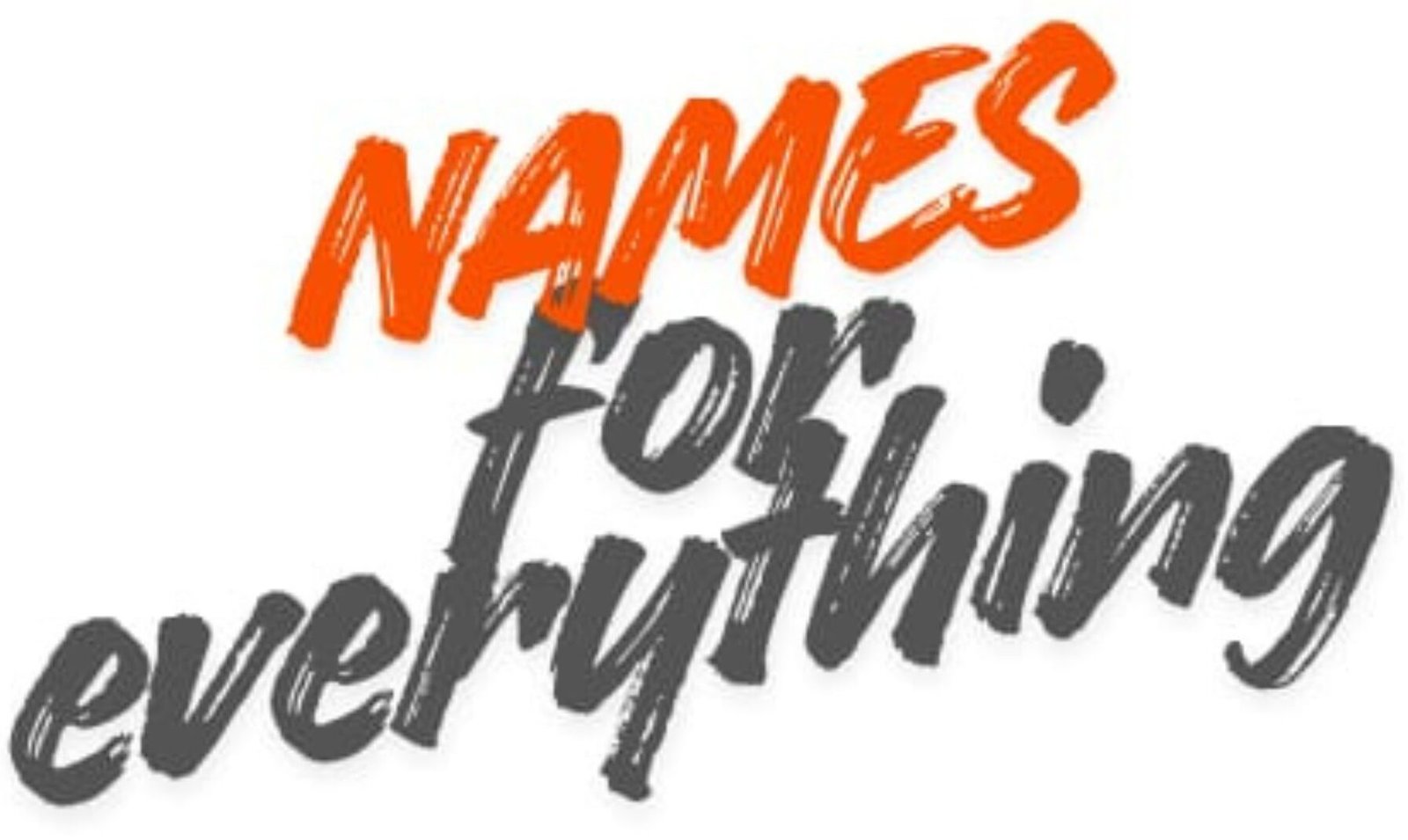 Namesforeverything