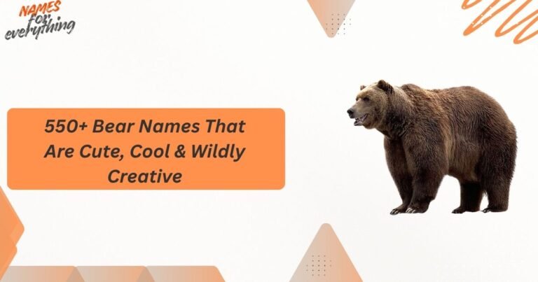 Bear Names