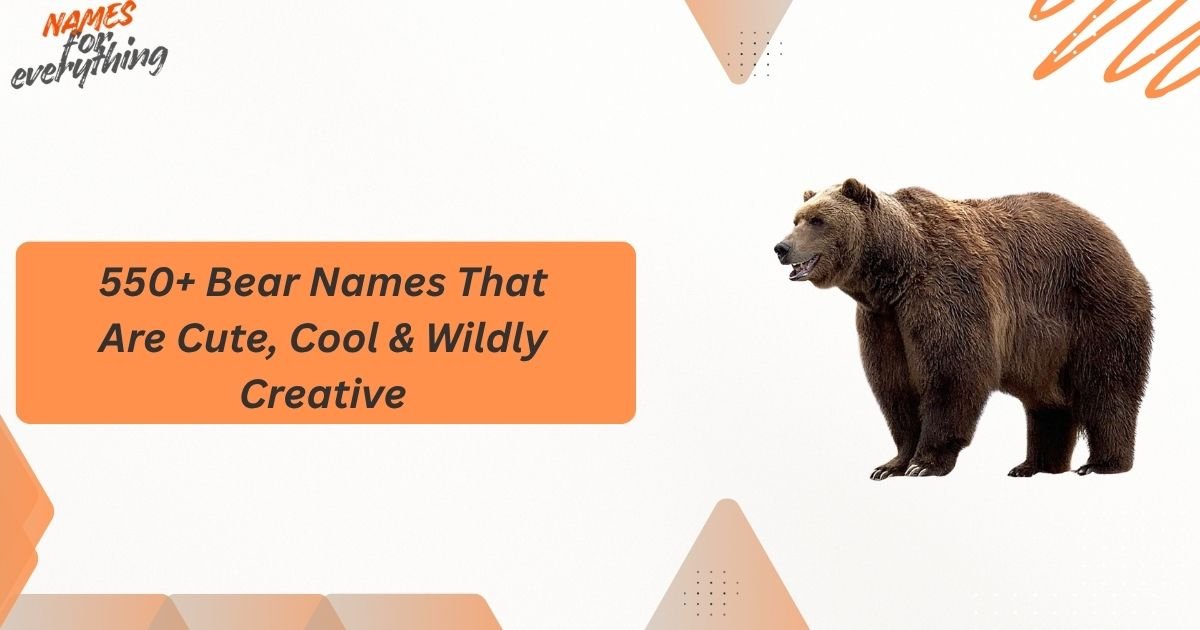Bear Names