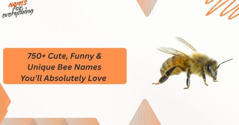 Bee Names