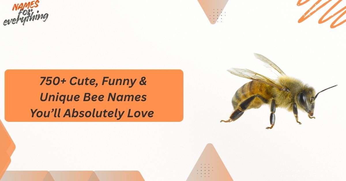 Bee Names