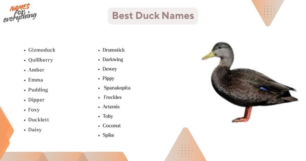 Best Duck Names