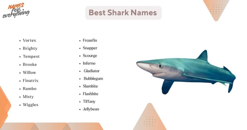 Best Shark Names 