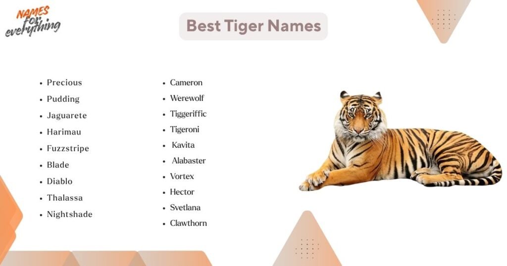 Best Tiger Names