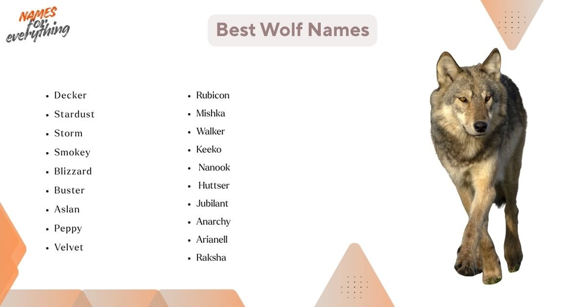750+ Powerful Wolf Names That Sound Truly Legendary