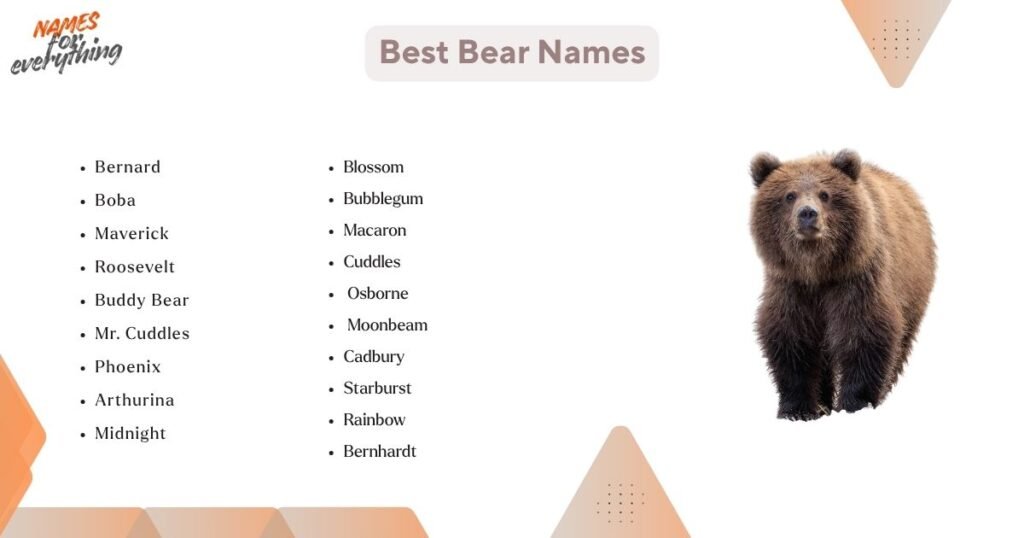 Best bear names