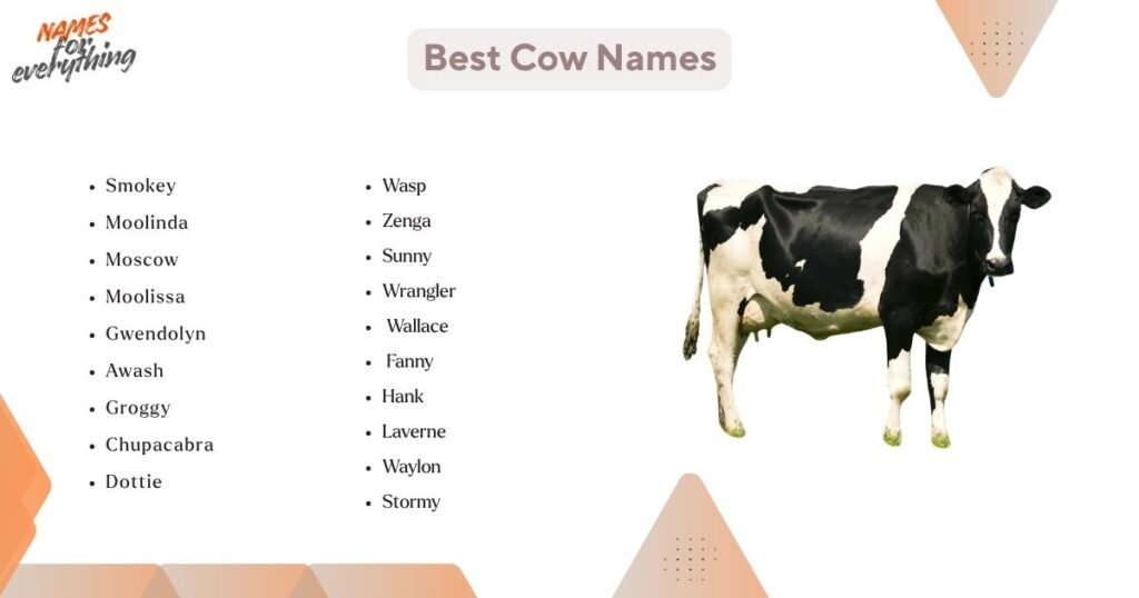 Best cow names