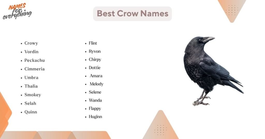 Best crow names