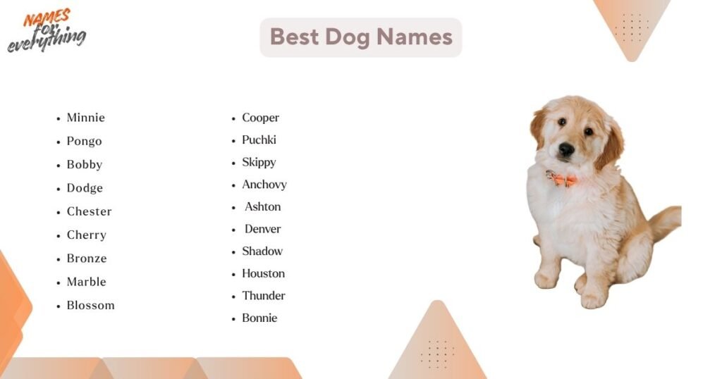 Best dog names