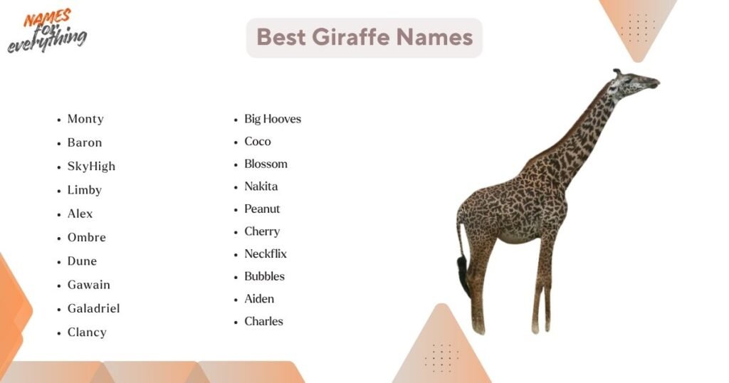 Best giraffe names