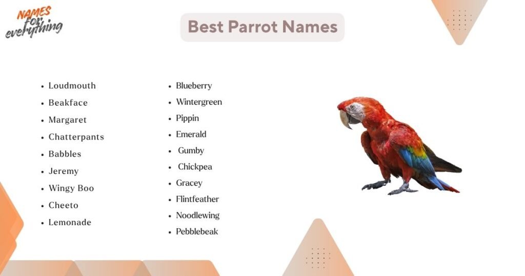 Best parrot names