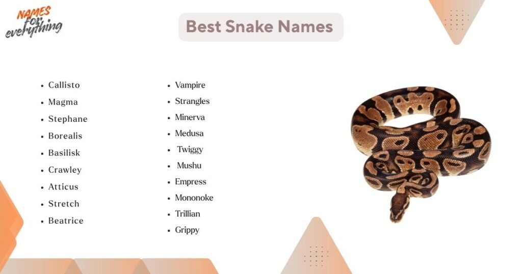 Best snake names 