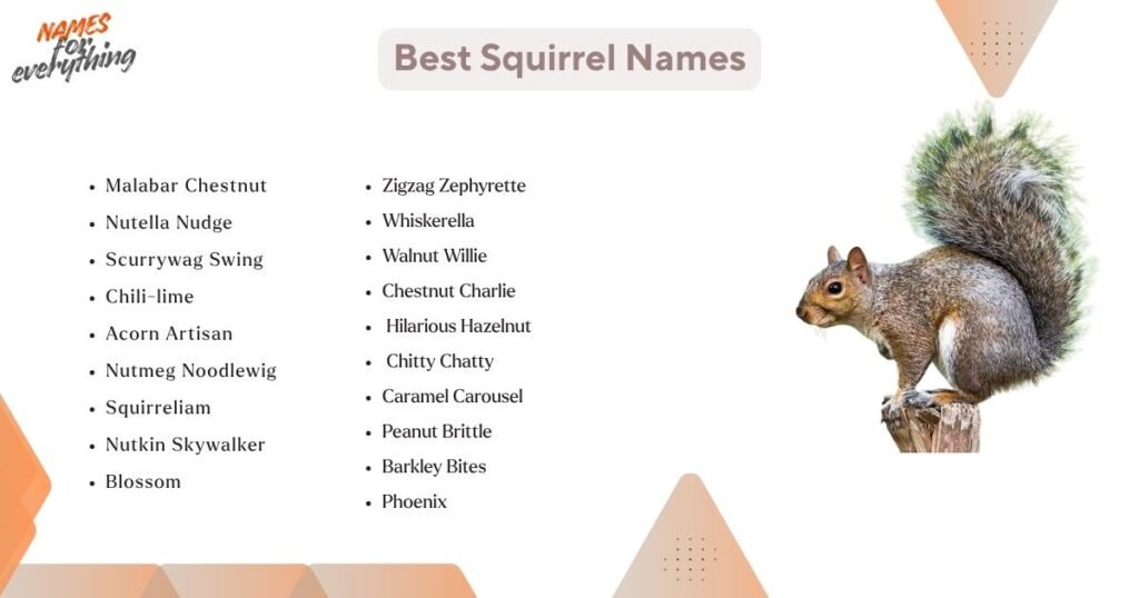 Best squirrel names