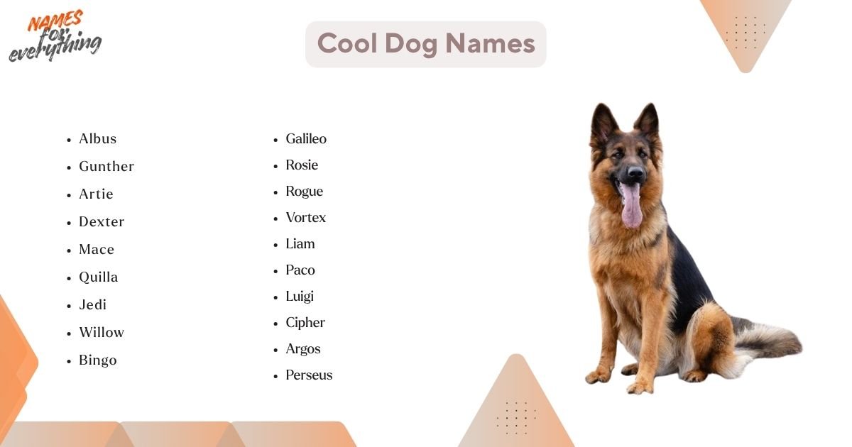 Cool Dog Names