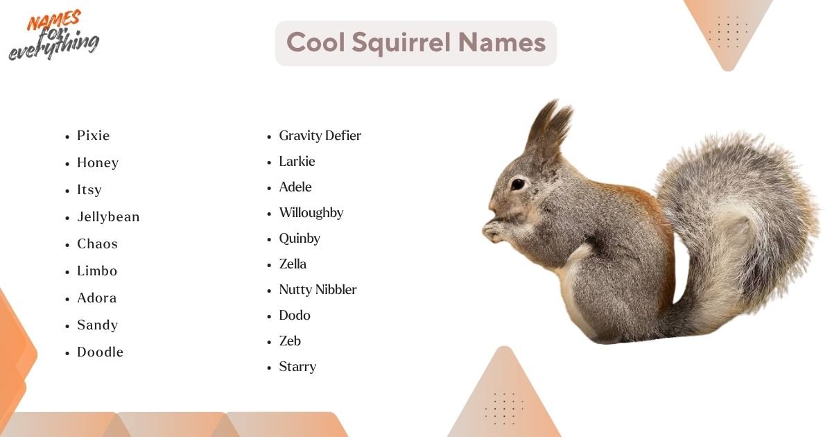 Cool Squirrel Names