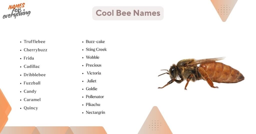 Cool bee names