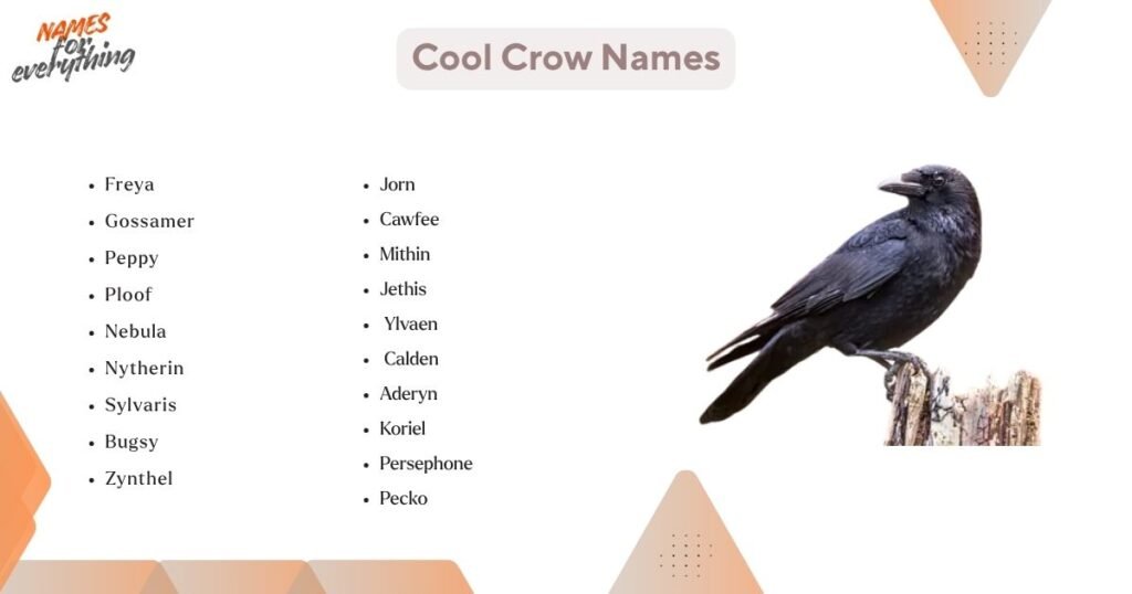 Cool crow names