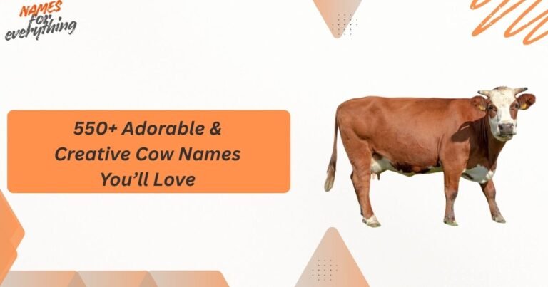 Cow Names