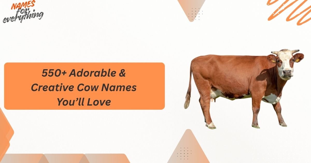 Cow Names