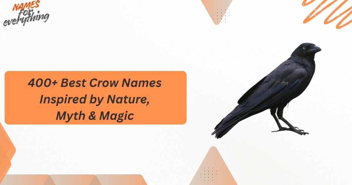 Crow Names