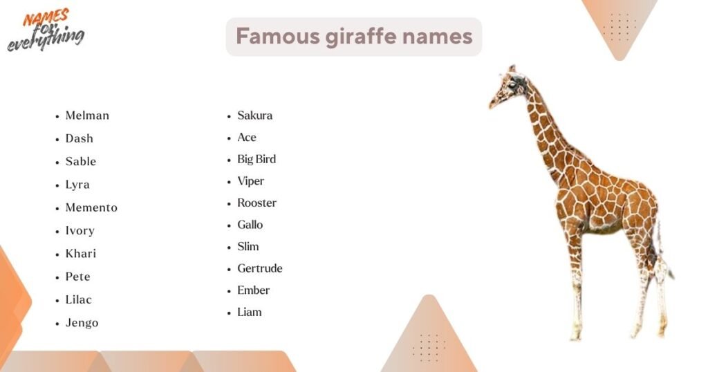 Famous giraffe names