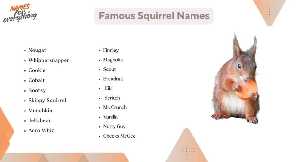 Famous names for squirrel