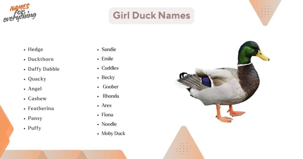 Female Duck Names