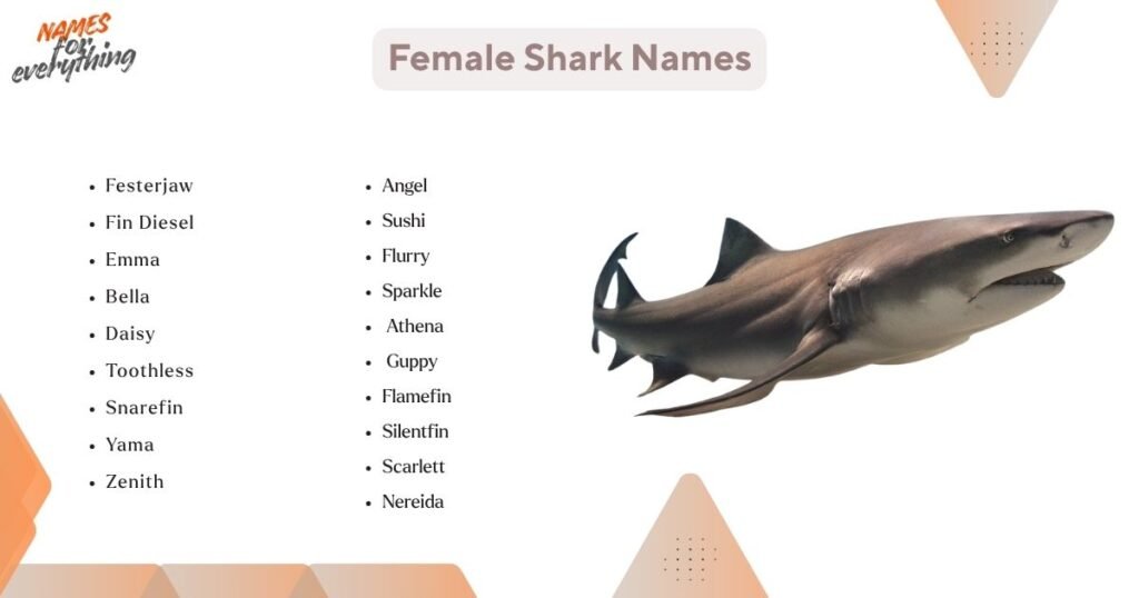 Female Shark Names