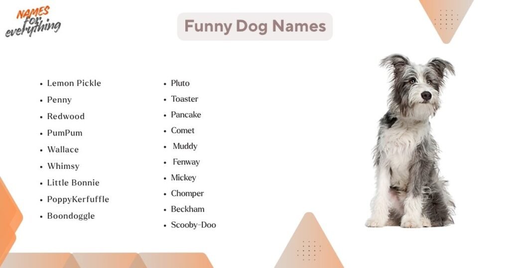 Funny dog names