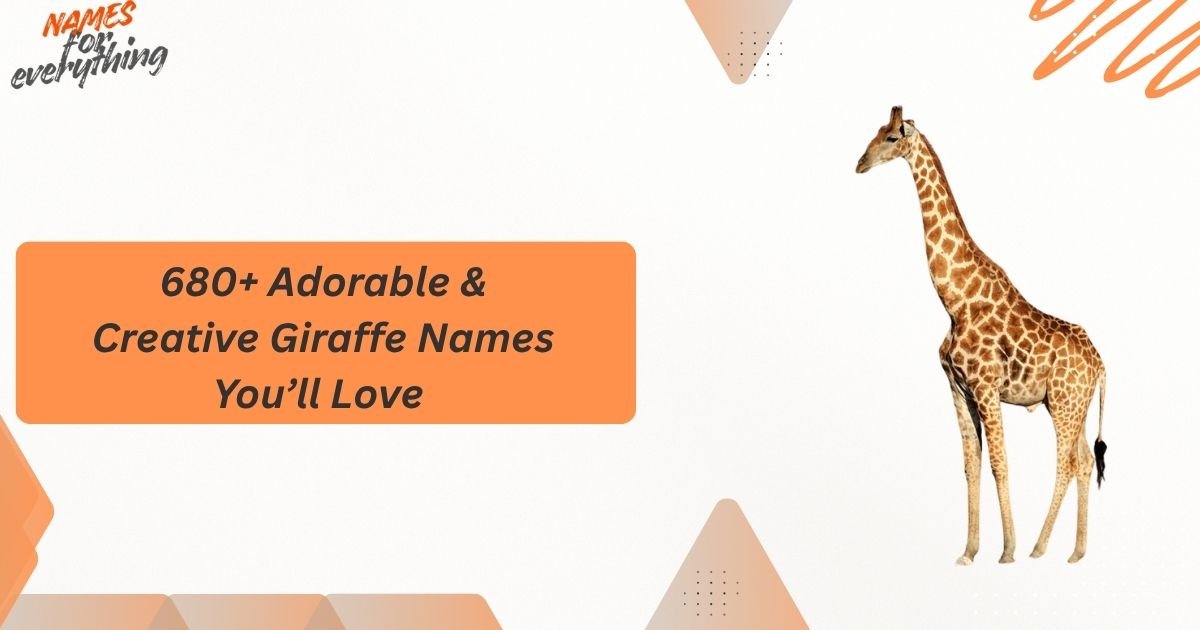 Giraffe Names