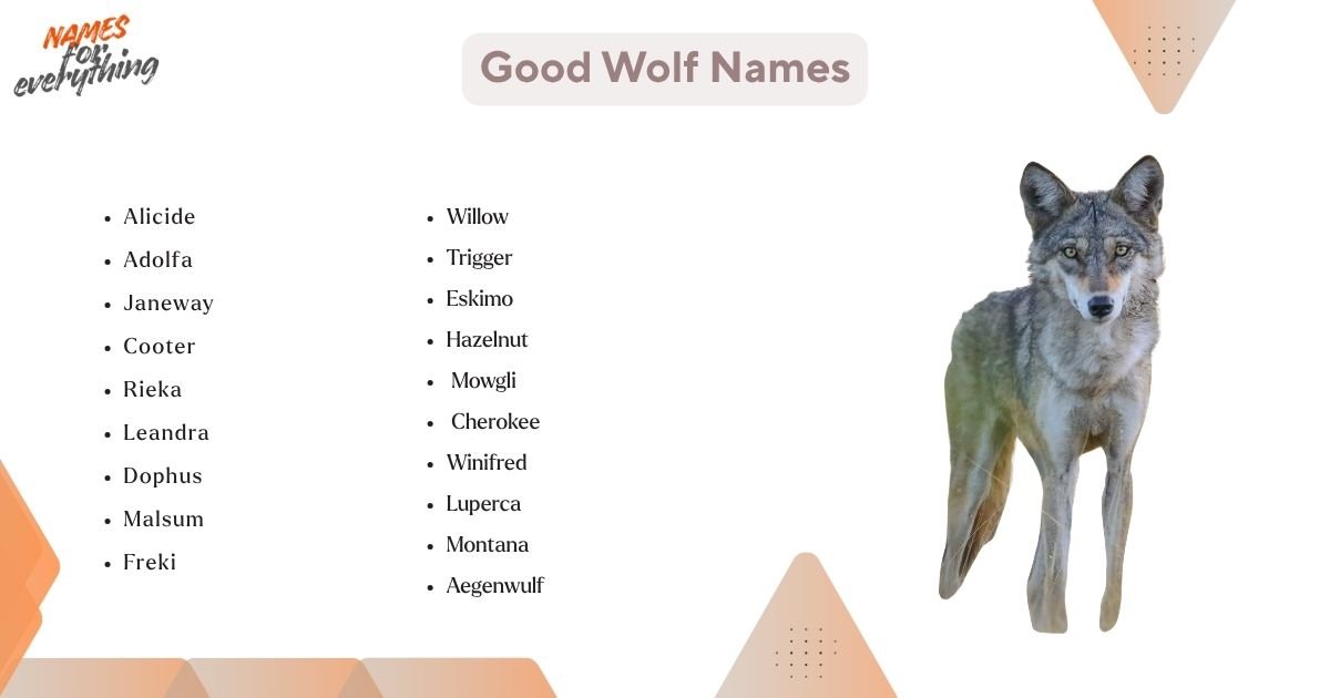 750+ Powerful Wolf Names That Sound Truly Legendary