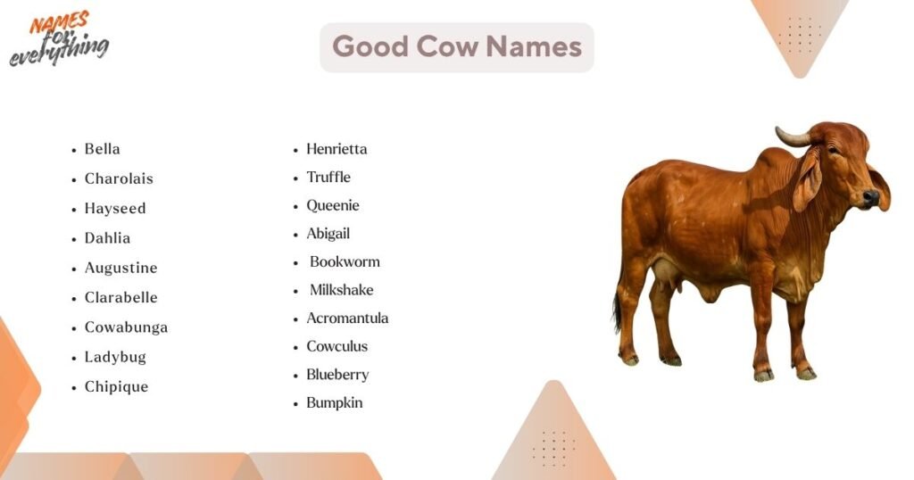 Good cow names