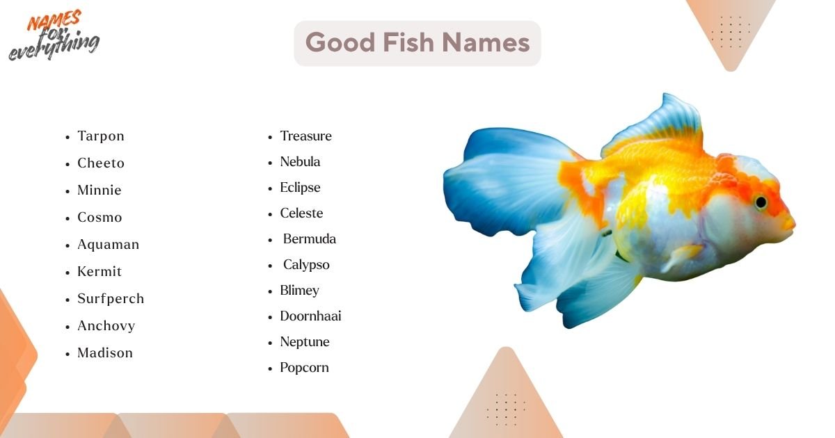 480+ Fish Names: Cute, Funny, and Legendary Ideas