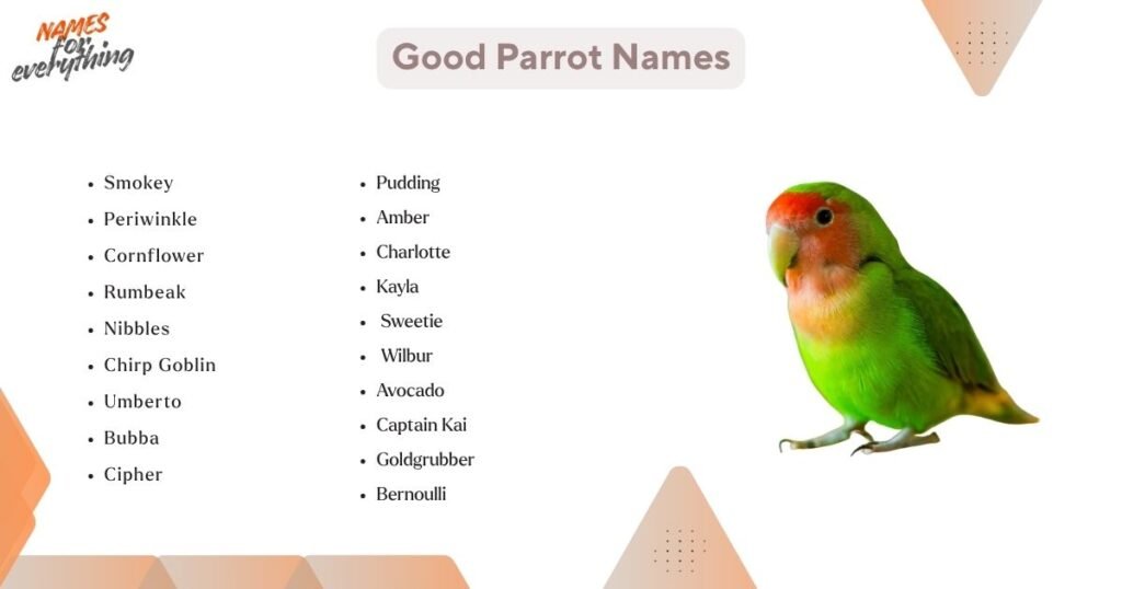 Good parrot names