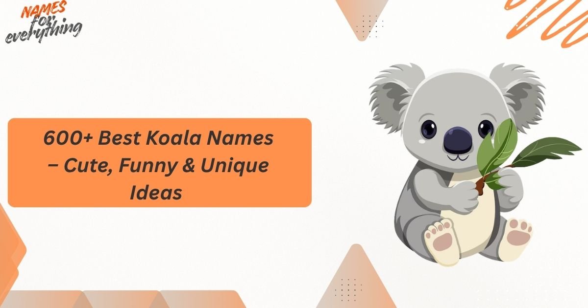 Koala Names