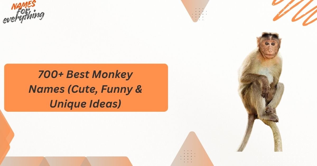 Monkey Names