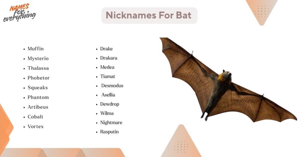 Nicknames for bat 