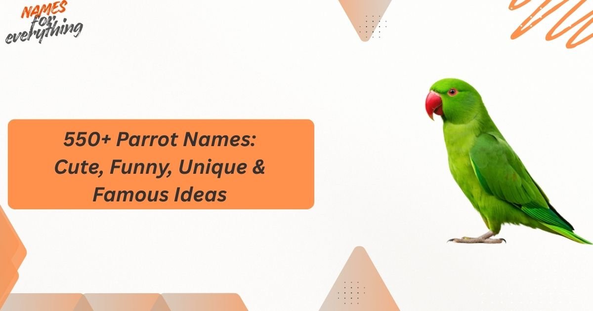 Parrot Names