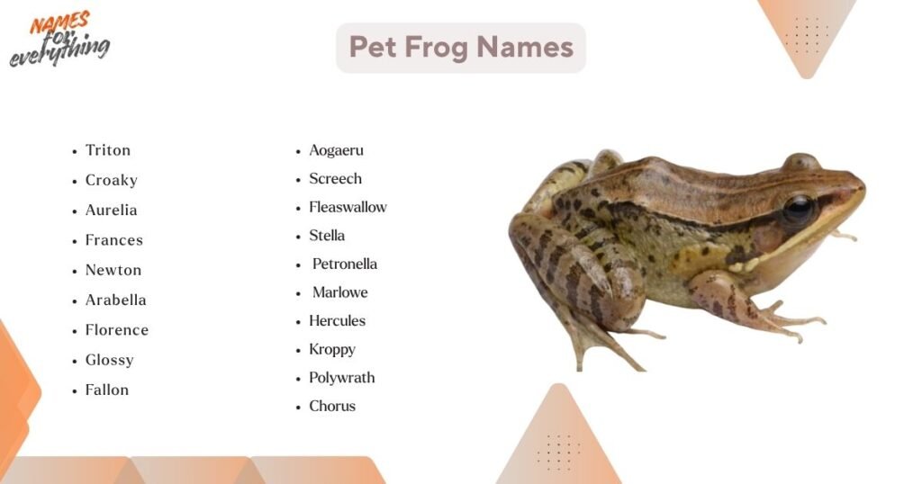 Pet frog names
