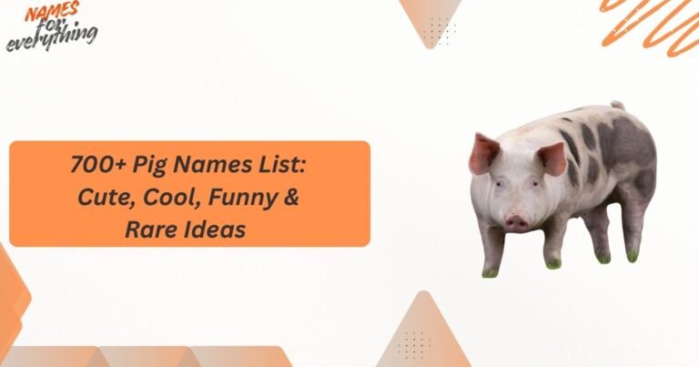 Pig Names